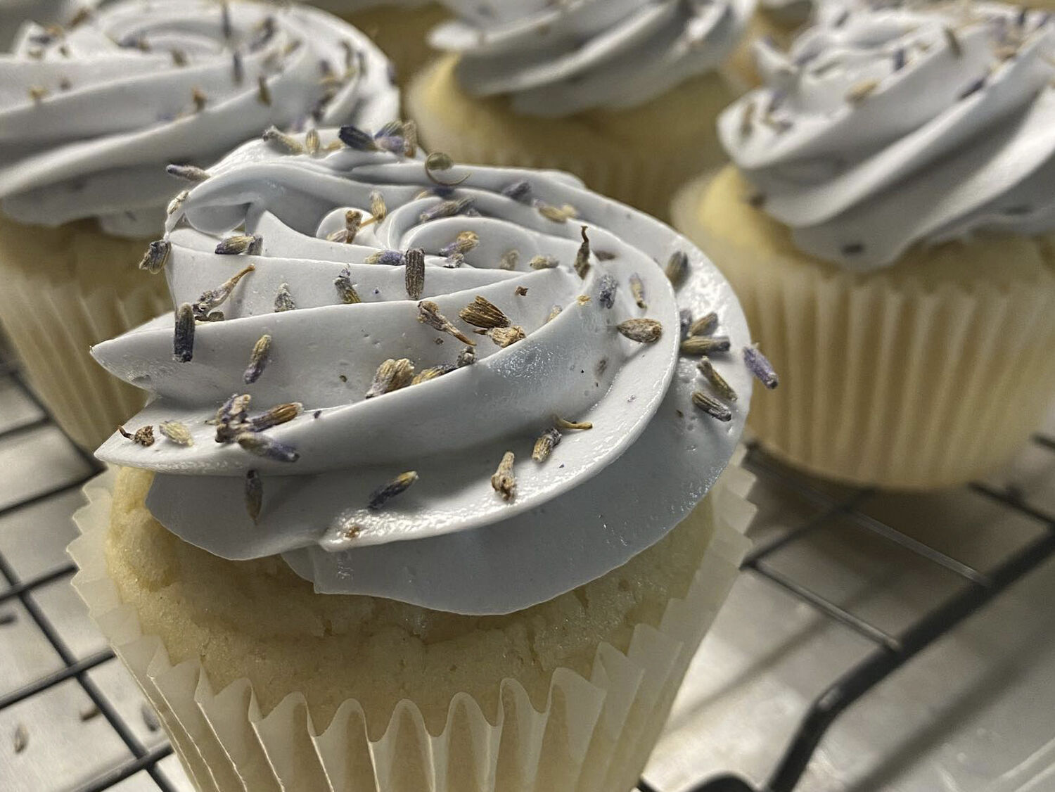 Whipped Cream & Other Delights